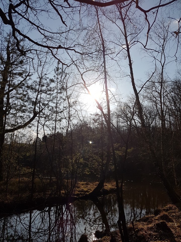 Natur2