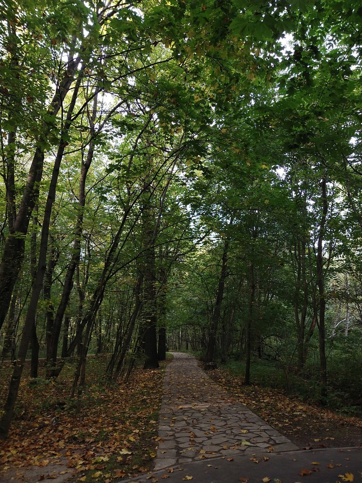 park