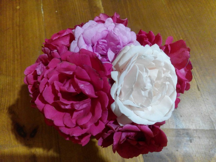 Roses