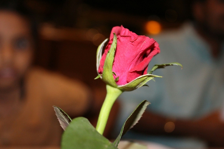 love