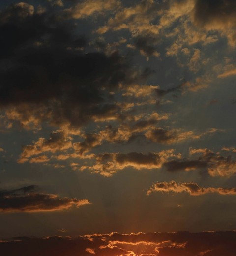 Orange, sunlight वॉलपेपर
