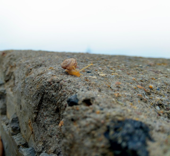 Tiny yet unique