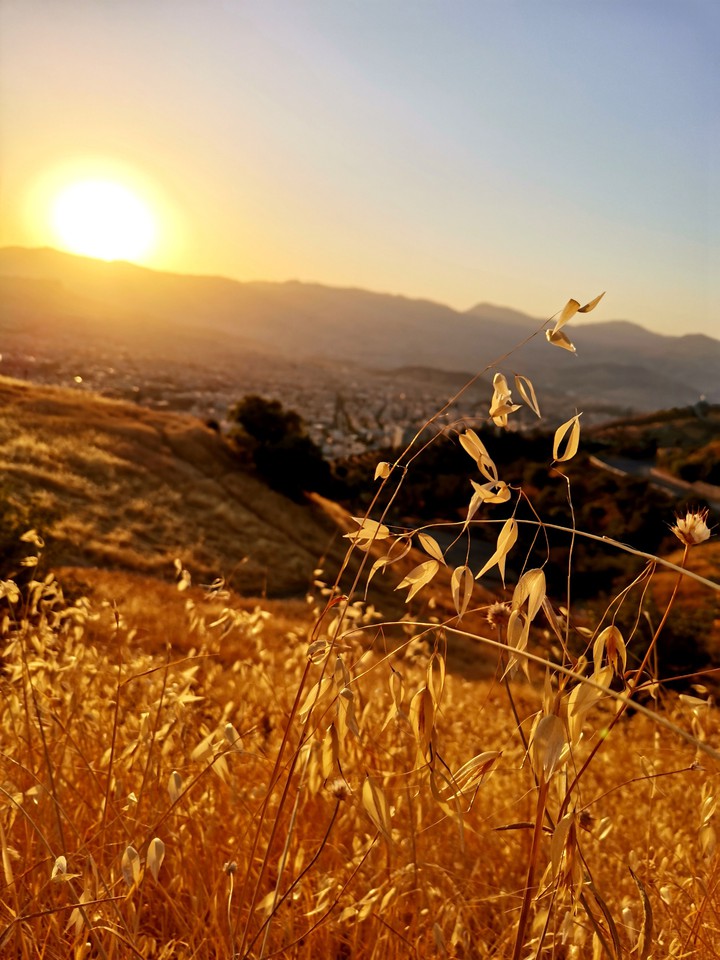sunrise