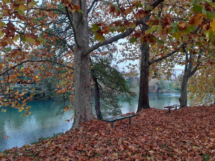 fall