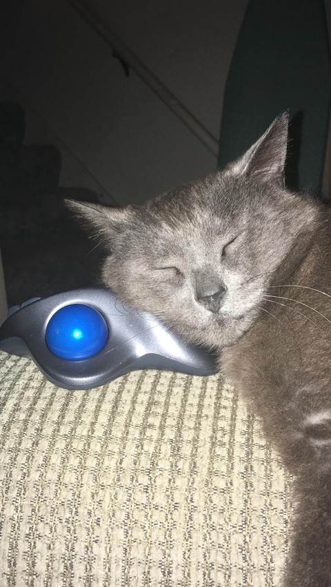 knocked out cold