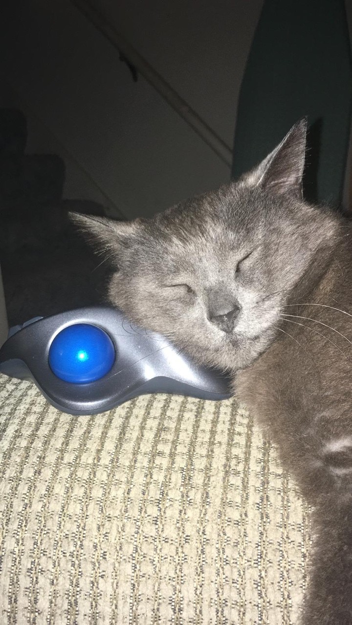 knocked out cold