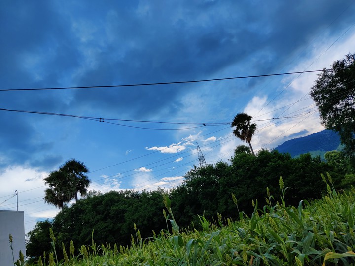 shot on oneplus nord