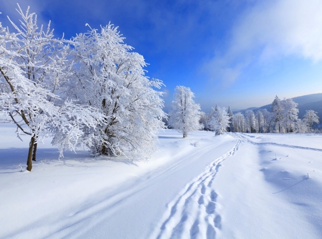 Winter