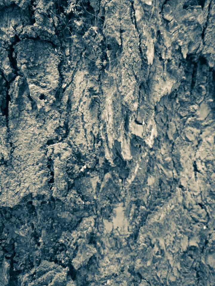 No_f_s