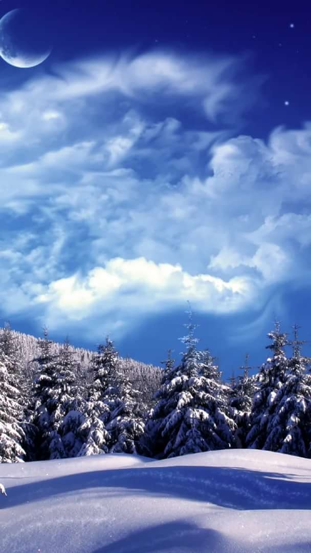 Nature ❄️❄️❄️