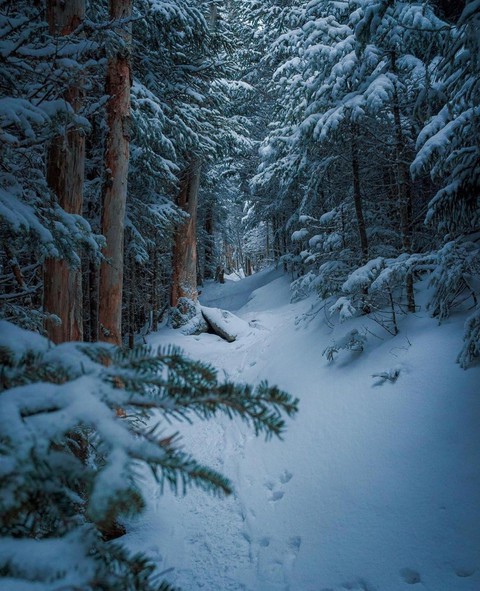 path, lovely duvar kağıtları