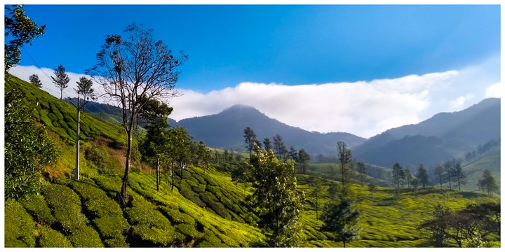 Valley of Munnar