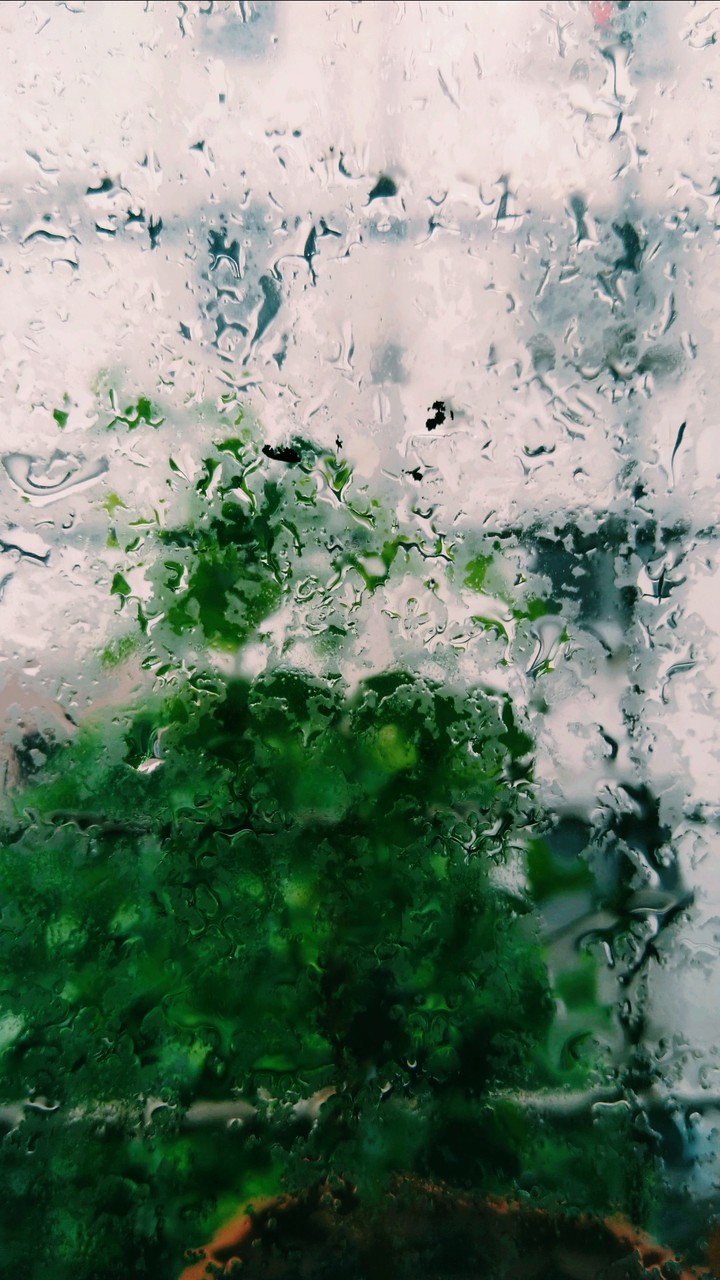 Refreshing fresh beautiful