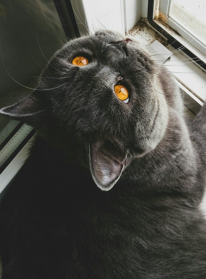 lucky