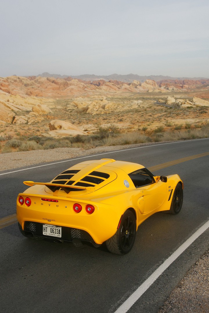 lotus