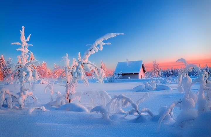Winter