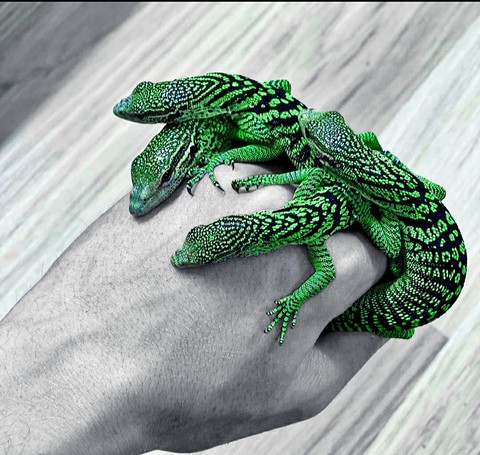 green and sweet ♡♡