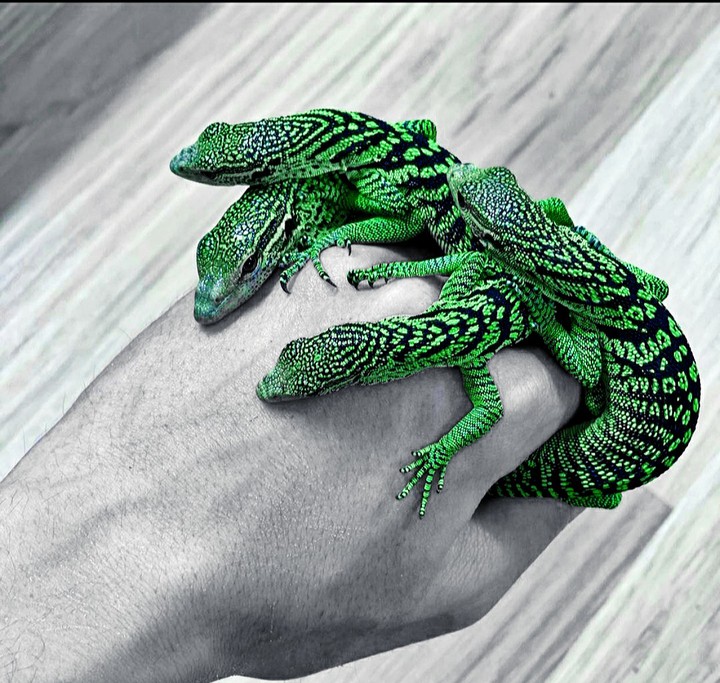 green and sweet ♡♡