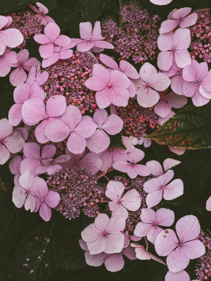 ❤️❤️❤️❤️❤️