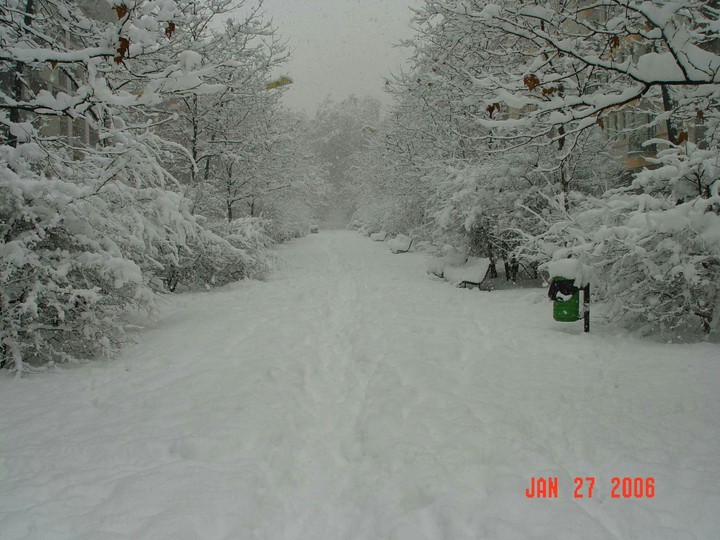corso lodi 2006