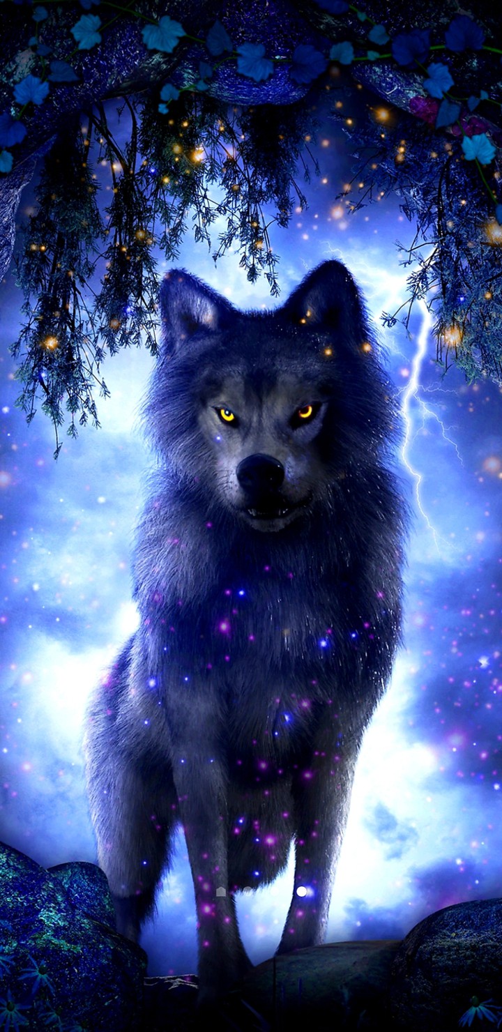 Wolf Olivares Efrain