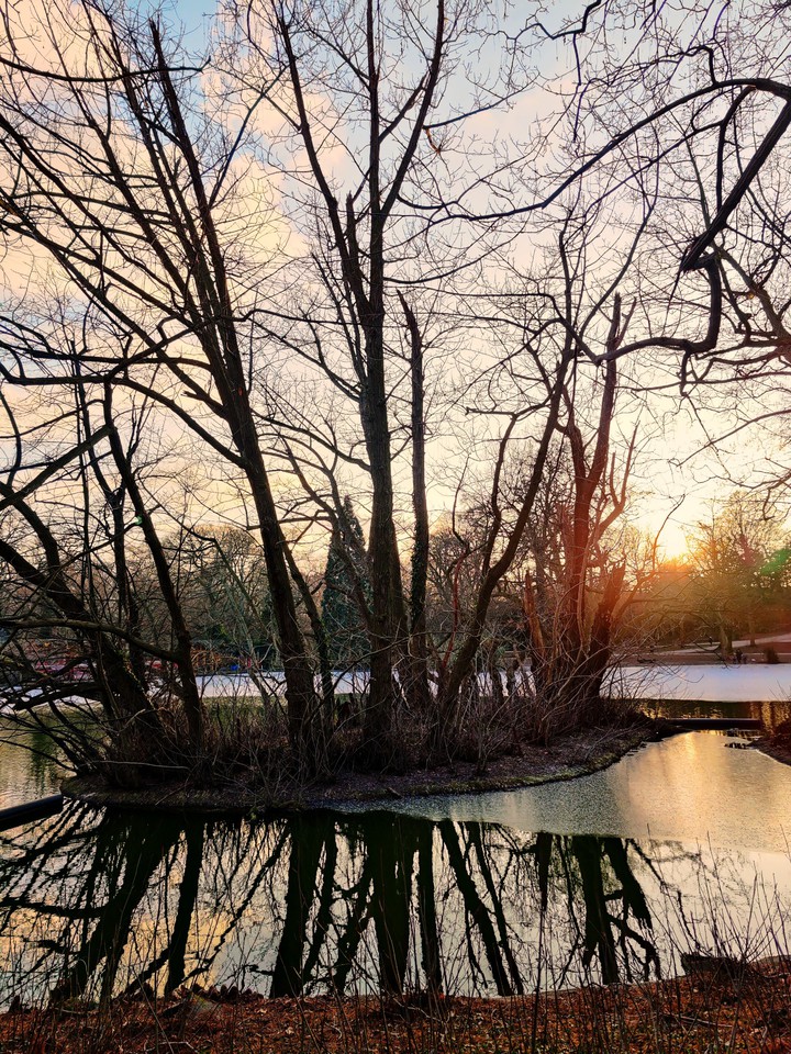 Frozen
