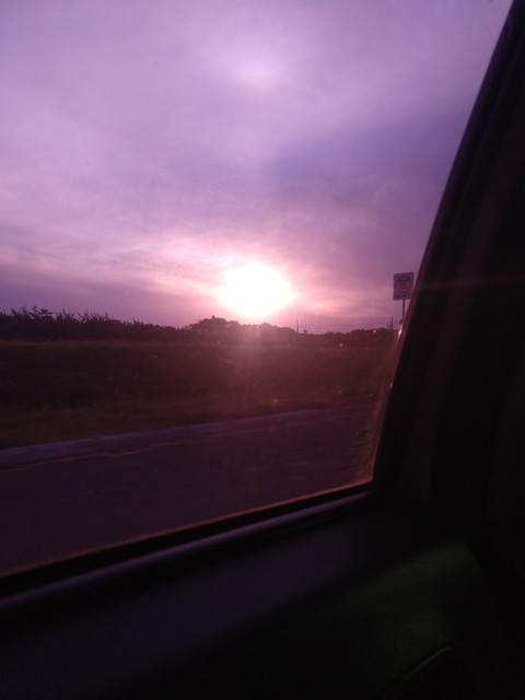 amo o pôr do sol