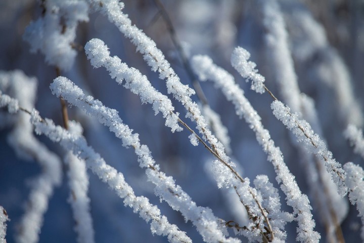 snow