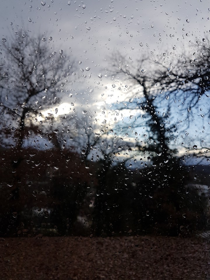 Rain