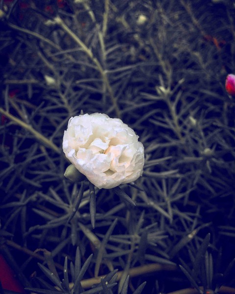 alone