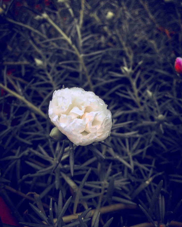 alone