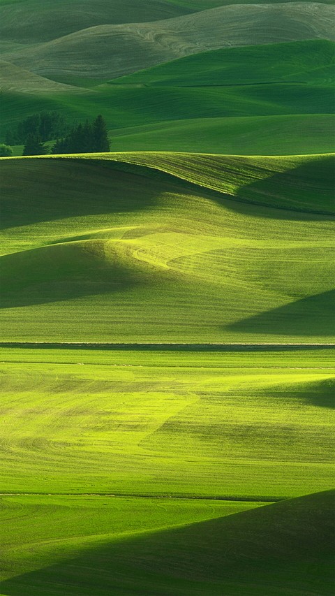 Oppo Wallpaper(ColorOS 2.1)