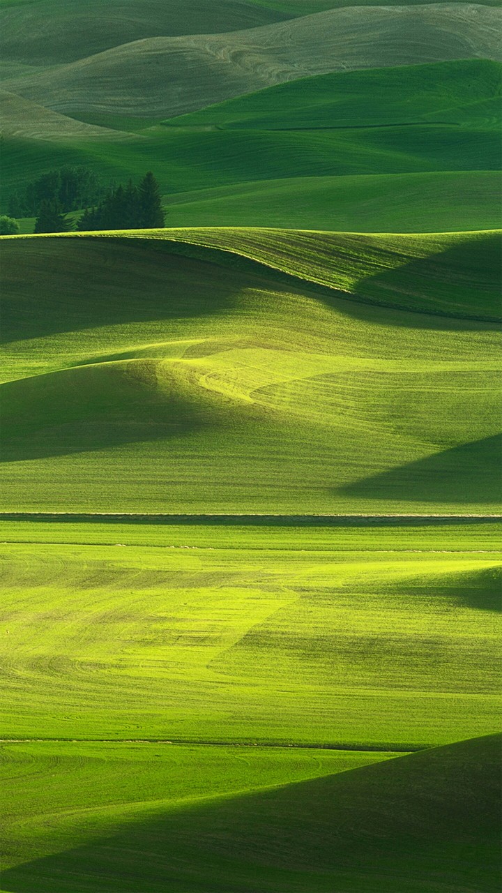 Oppo Wallpaper(ColorOS 2.1)