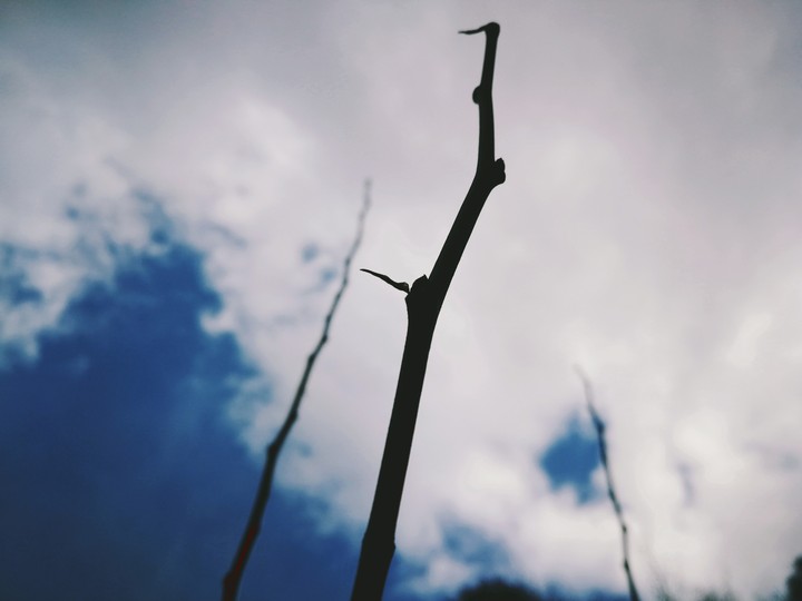 Way to the sky
