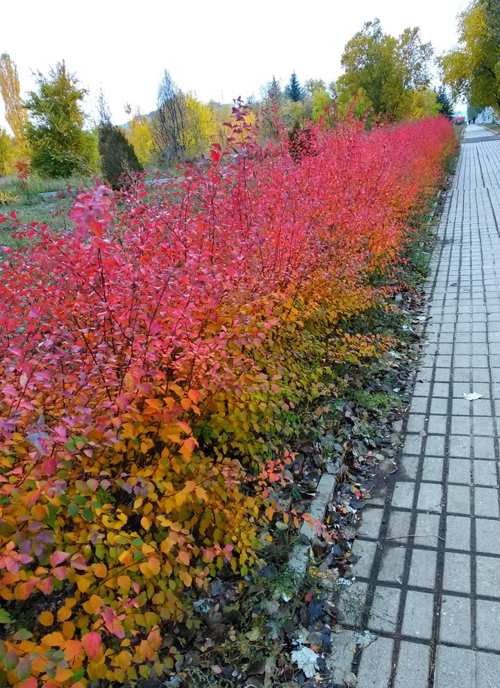 прогулка