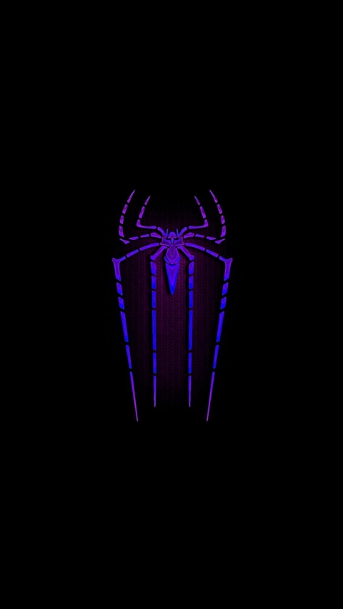 SPIDERWEB