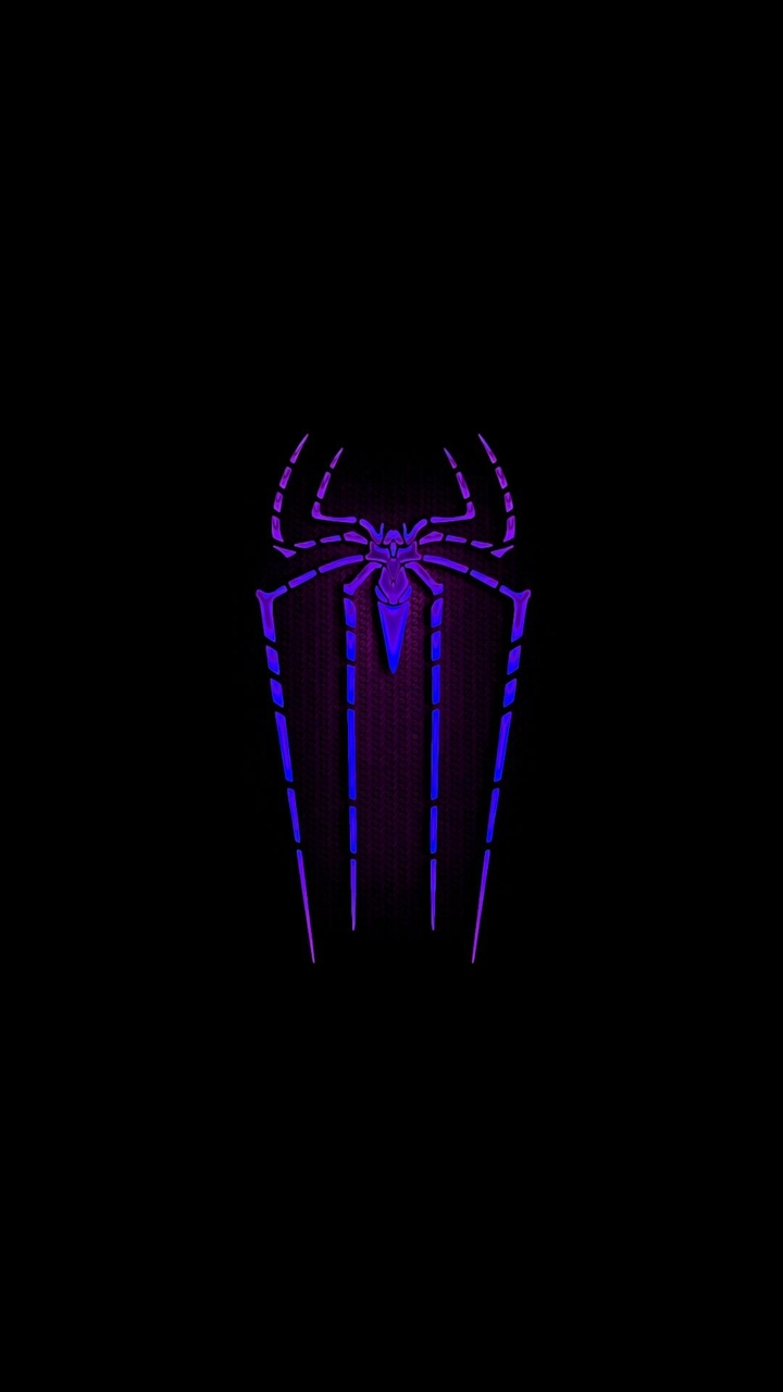 SPIDERWEB