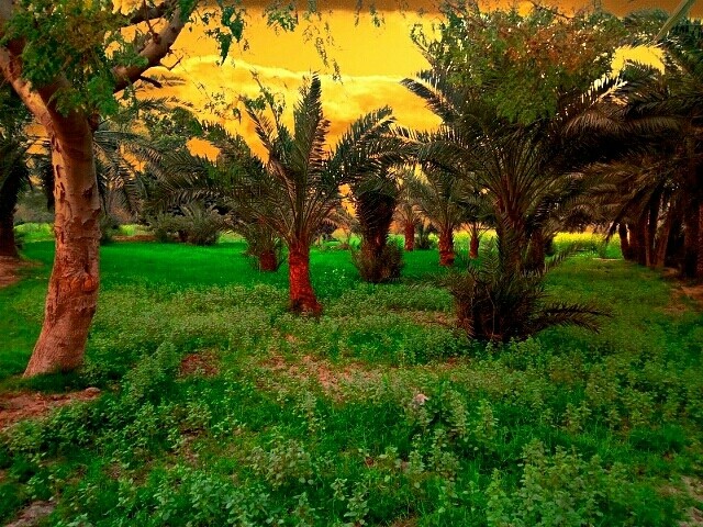 village2ansar