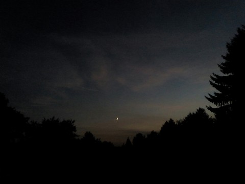 Moonnight