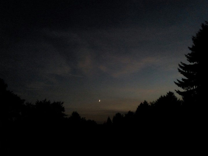 Moonnight