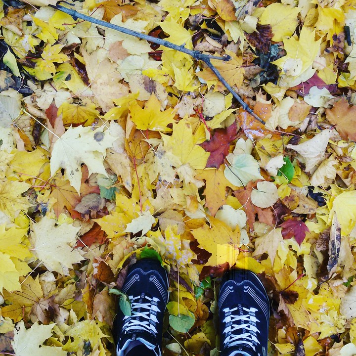 autumn