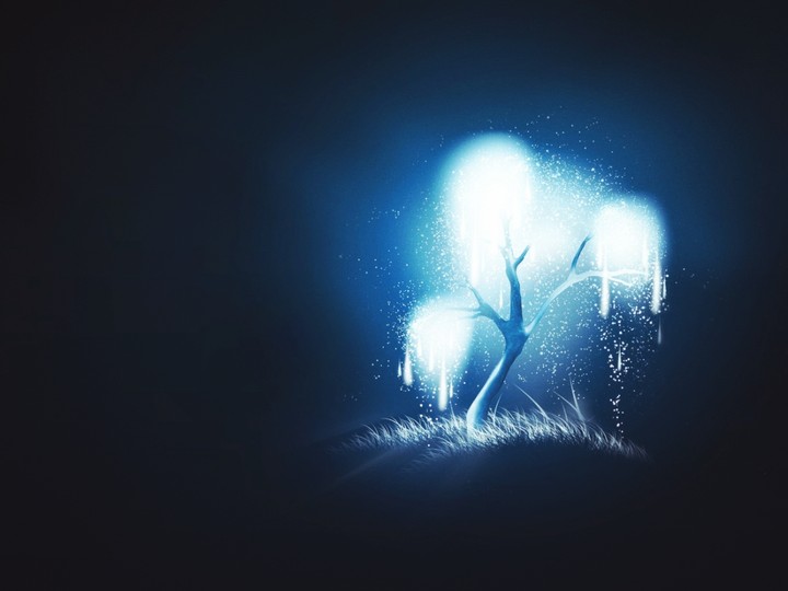 Wishing Tree