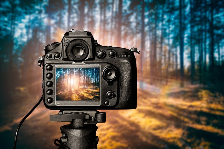 camera...