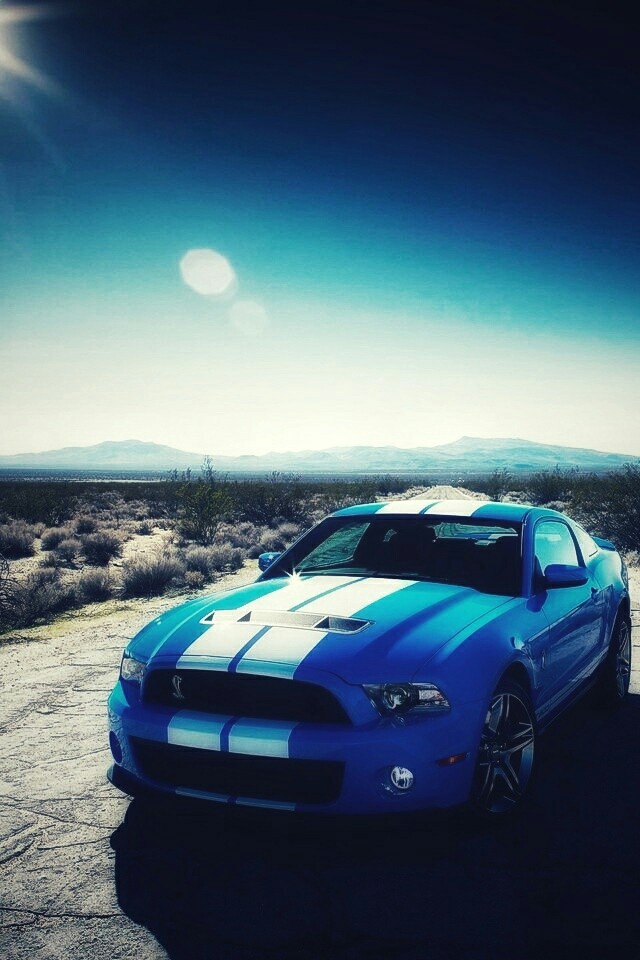 mustang