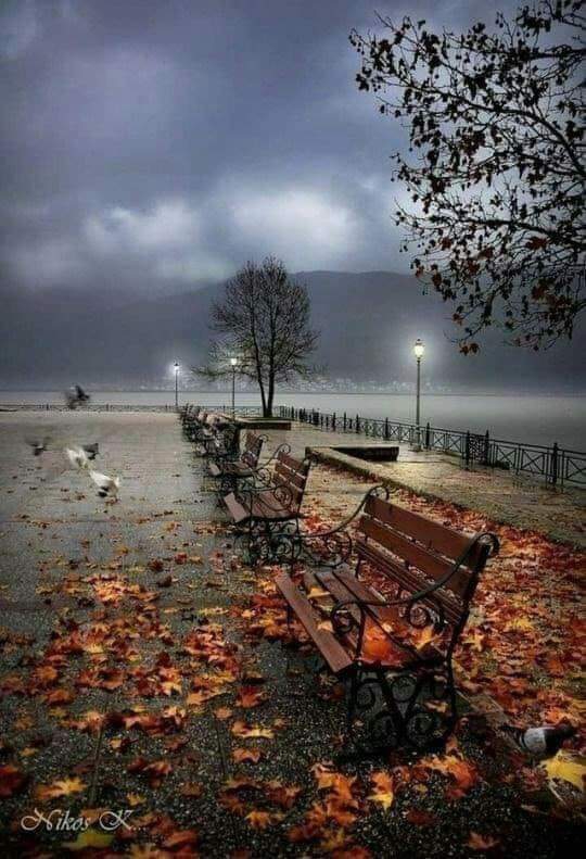 La soledad no traiciona