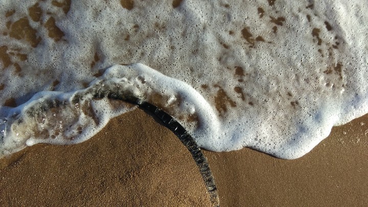 море