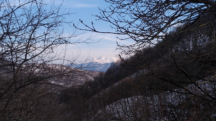mountain