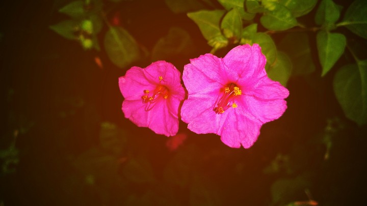 Togetherness