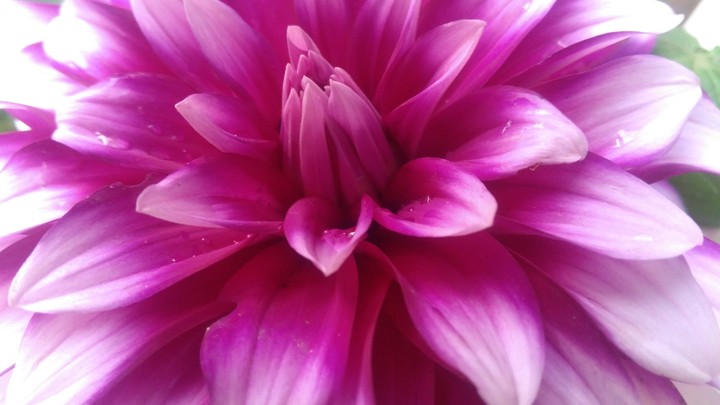real beauty lies in nature