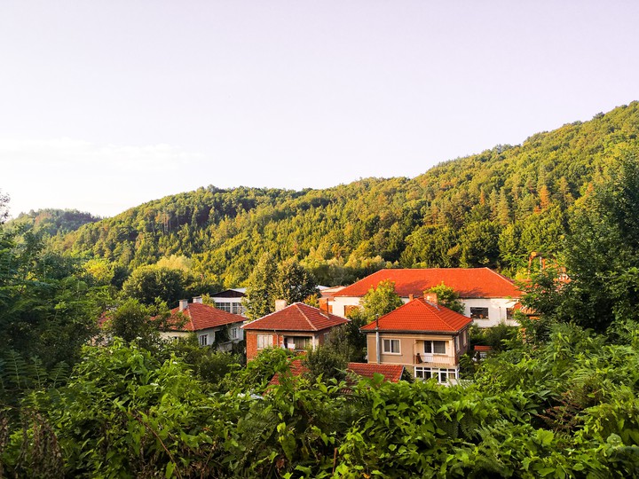 nature